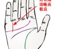手相怎么看？財運線清晰的人能賺大錢